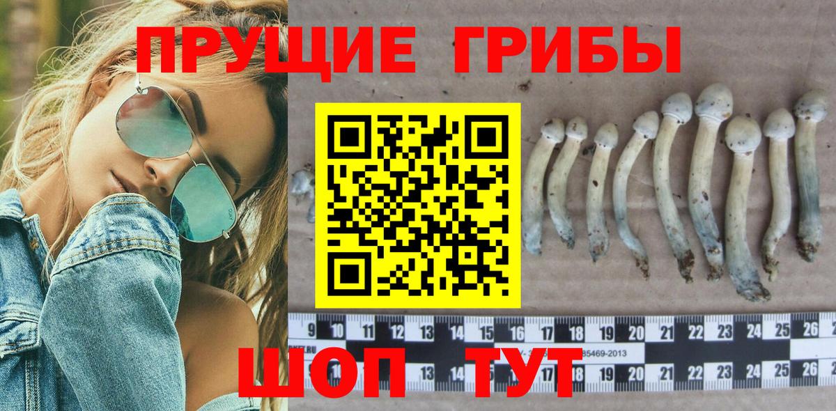Галлюциногенные грибы прущие грибы Бердск