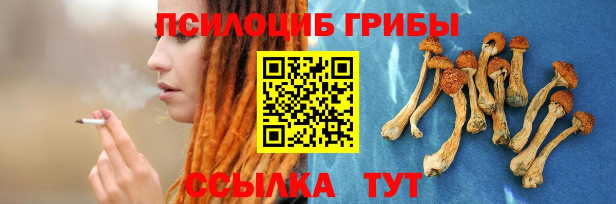 Бердск  Галлюциногенные грибы GOLDEN TEACHER  Вход с VPN 