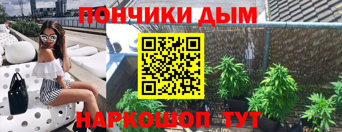 Бердск  Шишки марихуана семена  Бошки Шишки марихуана  Вход с VPN  Шишки марихуана планчик 